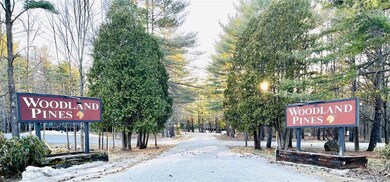 39 Woodland Pines Rd unit 39, Bartlett, NH 03845 - photo 2