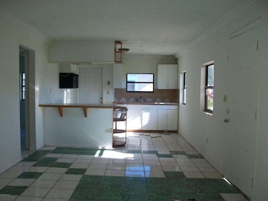 511 Paw Paw St, Cocoa, FL 32922 - photo 5