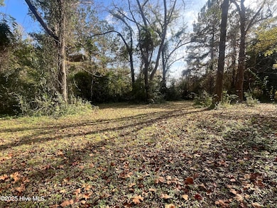 7682 Kershaw Rd, Arapahoe, NC 28510 - photo 6