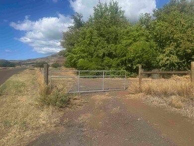 952 Luawai St, Olowalu, HI 96761 - photo 2