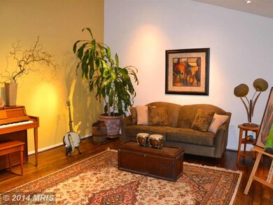 6600 Persimmon Tree Rd, Bethesda, MD 20817 - photo 5