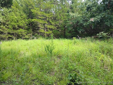 20 Juanita Dr, Prue, OK 74063 - photo 6