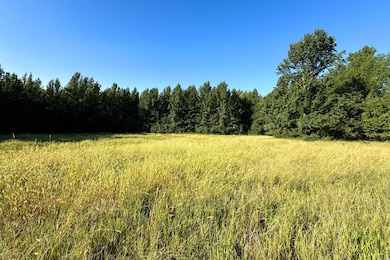 0 Clay County Rd 408 unit 24033571, Rector, AR 72461 - photo 6