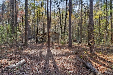 14110 Mary Dr, Coker, AL 35452 - photo 4