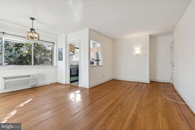 1029 Perry St NE unit 302, Washington, DC 20017 - photo 4