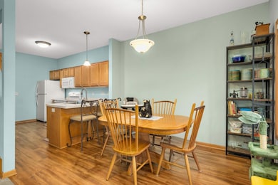 7742 Palomino Ave NE, Elk River, MN 55330 - photo 6