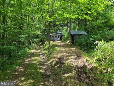 3307 Roaring Creek Rd, Seneca Rocks, WV 26884 - photo 7