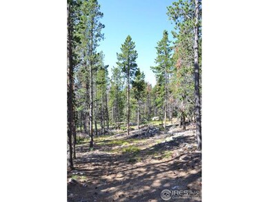 268 Elk Bugle Way, Bellvue, CO 80512 - photo 5