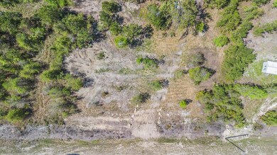 0 SW Highway 361, Steinhatchee, FL 32359 - photo 5