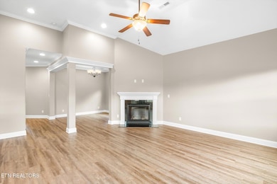 04-492-Co-Rd-550-207-Englewood-TN-4