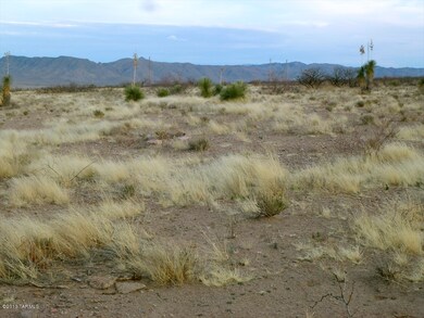 7.8 Acres S Acacia Ln, Portal, AZ 85632 - photo 4