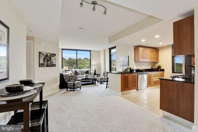 Midtown Alexandria Station Condominiums unit 1119, Alexandria, VA 22303 - photo 2