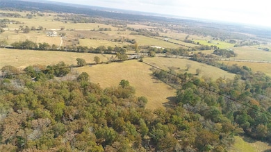 15031 Farm To Market Road 542, Oakwood, TX 75855 - photo 4