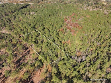 Old_Hwy_24_W_Lot_20-2