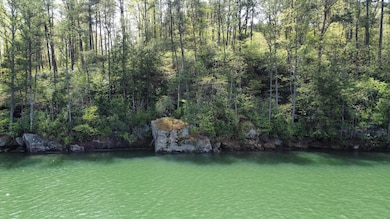 Lot 59 Sipsey Overlook Rd, Double Springs, AL 35553 - photo 2