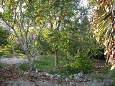 unlisted-address, Naples, FL 34116 - photo 3