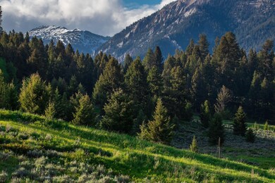 Lot 22 Spruce Cone Dr, Big Sky, MT 59716 - photo 6