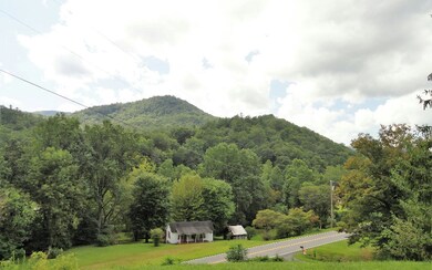 Additional View