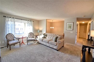 Natural Light in Living Room