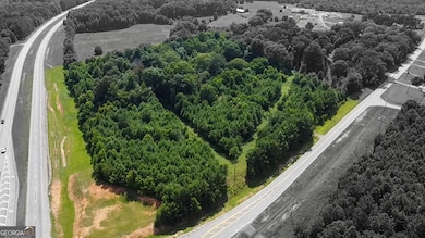 3128 High Falls Rd, Griffin, GA 30223 - photo 4