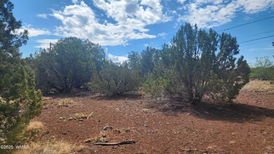 1762 Bighorn, Show Low, AZ 85901 - photo 6