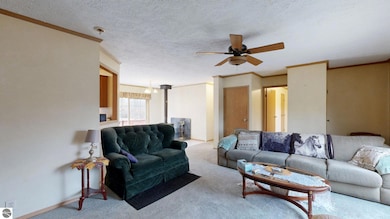 6524 E Edgar Rd, Vestaburg, MI 48891 - photo 3