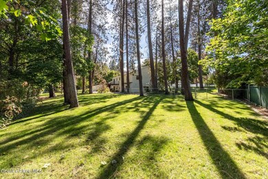 Double Lot - Shop Lot