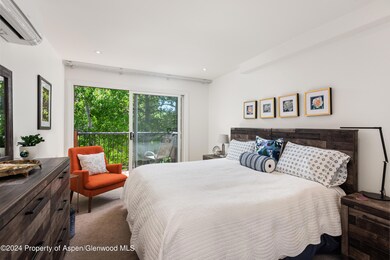 205 E Durant Ave unit 3-F, Aspen, CO 81611 - photo 7