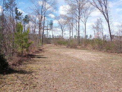 7105 W Quaker Rd, Disputanta, VA 23842 - photo 5