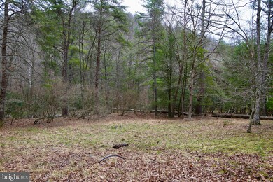 0 Wetzel Hollow unit WVHD105886, Mathias, WV 26812 - photo 7
