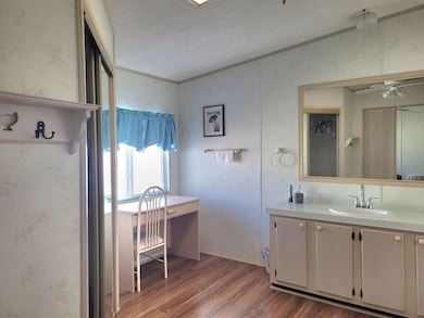 6232 Jessup Dr unit 436, Zephyrhills, FL 33540 - photo 5