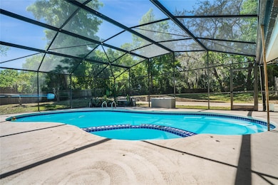 Step outside and start planning how you will create the backyard of your dreams, the tiled lanai overlooks a sparkling pool and heated spa, the screens in the enclosure were replaced in 2023, and the backyard is fully fenced.