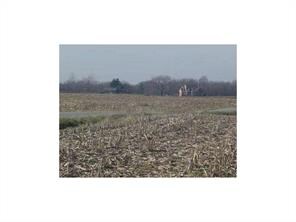 200 W (Lot 6), Rushville, IN 46173 - photo 2