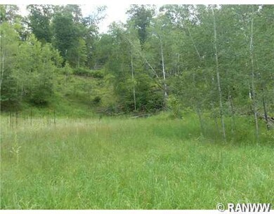 0 Bluff Lake Rd unit 879822, Webster, WI 54893 - photo 3