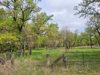 169625 Lakeview Dr, Marlow, OK 73055 - photo 4