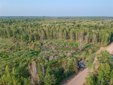 0 Black Creek Rd, Grenell, NY 13624 - photo 6