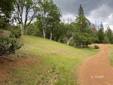 14991 California 3, Hayfork, CA 96041 - photo 7
