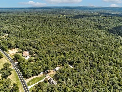 000 Old Ridgeway Rd, Bremen, GA 30110 - photo 3