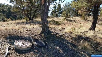 45 Vesuvius Way, Silver City, NM 88061 - photo 4