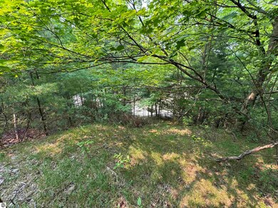 Lot #1 E Bellinger Rd unit 1, Cedar, MI 49621 - photo 6