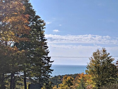 Lake Michigan Bluff View