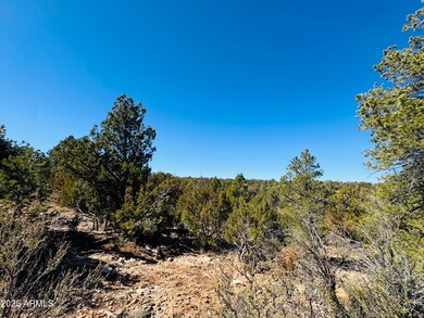 4108 Sunset Ridge Loop unit 135, Happy Jack, AZ 86024 - photo 3