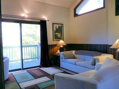 53 Birches Way unit BA2, Peru, VT 05152 - photo 6