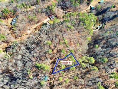 TBD Rockinghorse Trail unit Tract 1, Burnsville, NC 28714 - photo 5