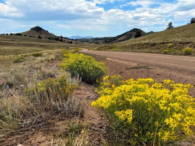 0 Cherokee Trail unit REC6368935, Hartsel, CO 80449 - photo 5