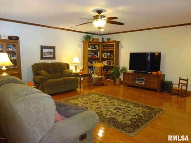 215 W Logan St, Harrisburg, IL 62946 - photo 3