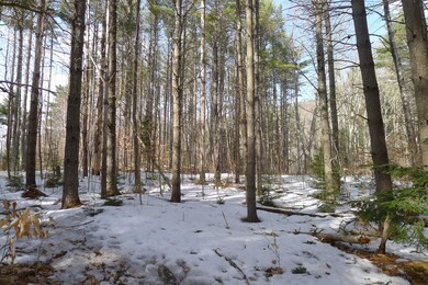 0 Tamarack Trail unit 1409037, Camden, ME 04843 - photo 7