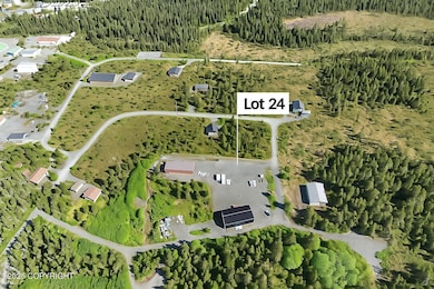 Lot 24