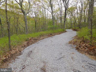 31 Pine Point Dr, Maysville, WV 26833 - photo 2