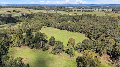 TRACT 1 - 13610 Arkansas 105, Hector, AR 72843 - photo 6